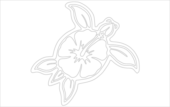 584x368 Hawaiian Turtle - Hawaiian Turtle Drawing