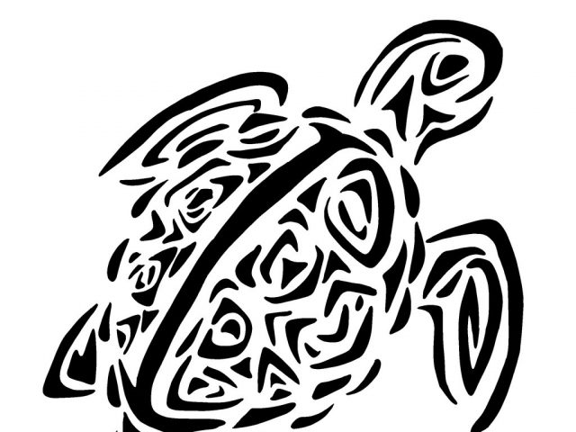 640x480 Tribal Turtle Drawing - Hawaiian Turtle Drawing