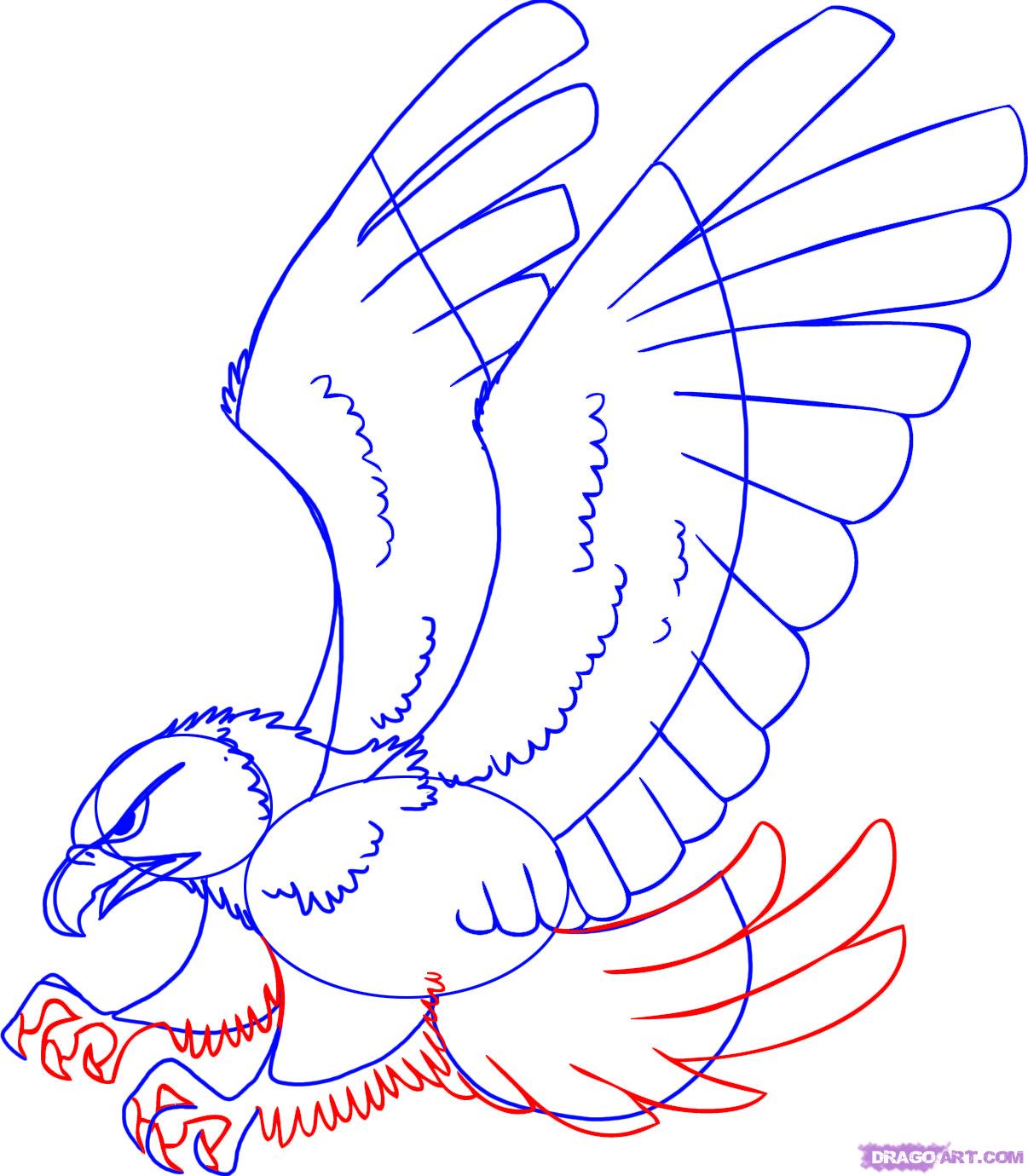 1206x1380 How To Draw A Cartoon Hawk, Step - Hawk Cartoon Drawing