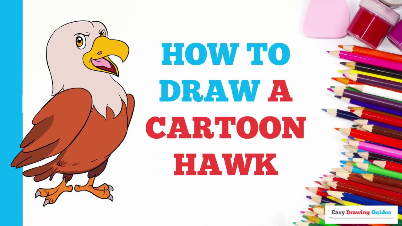 1280x720 How To Draw A Cartoon Hawk In A Few Easy Steps Drawing Tutorial - Hawk Cartoon Drawing