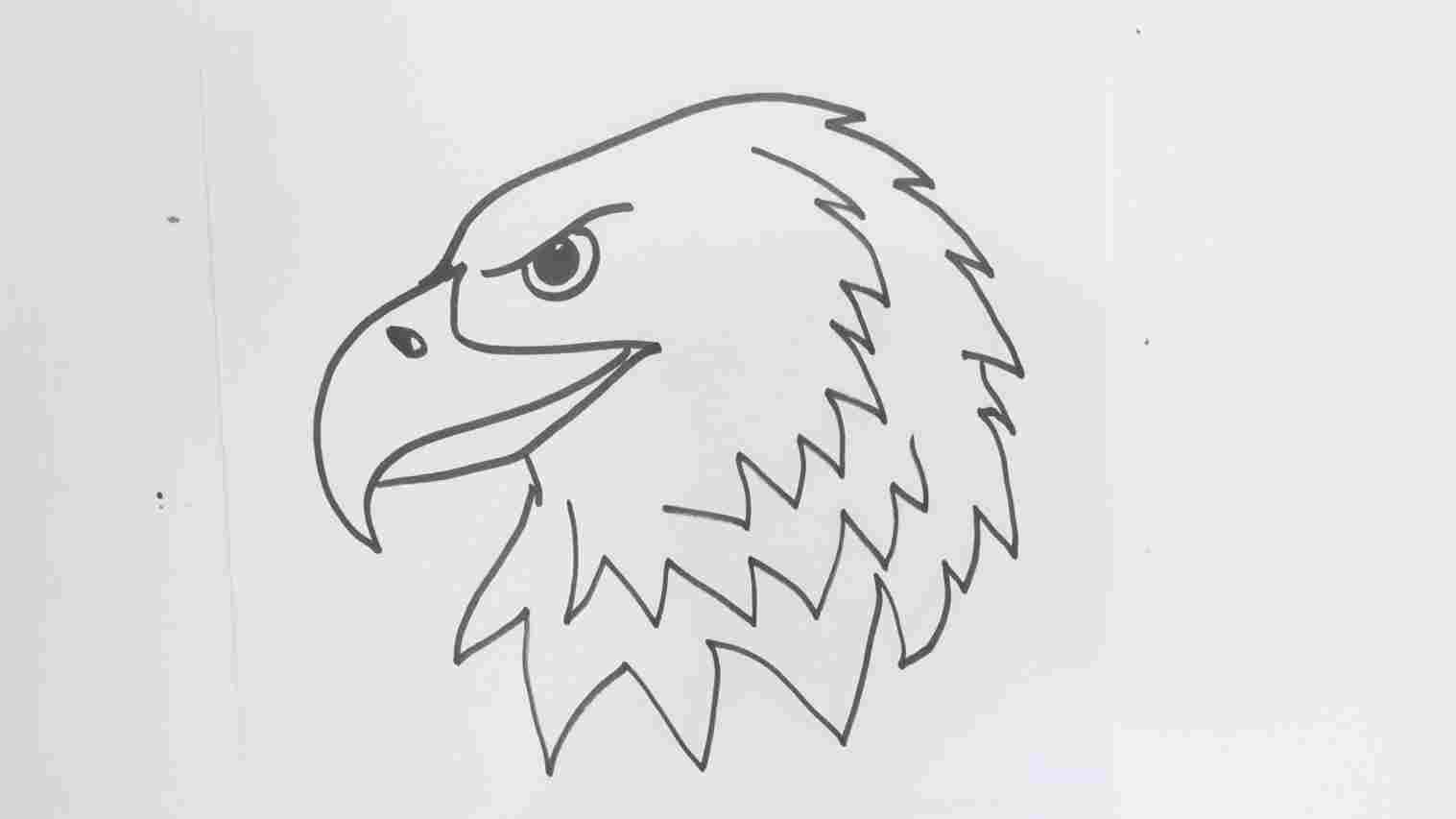 1517x853 How Hawk Cartoon Drawing To Draw A Step - Hawk Cartoon Drawing