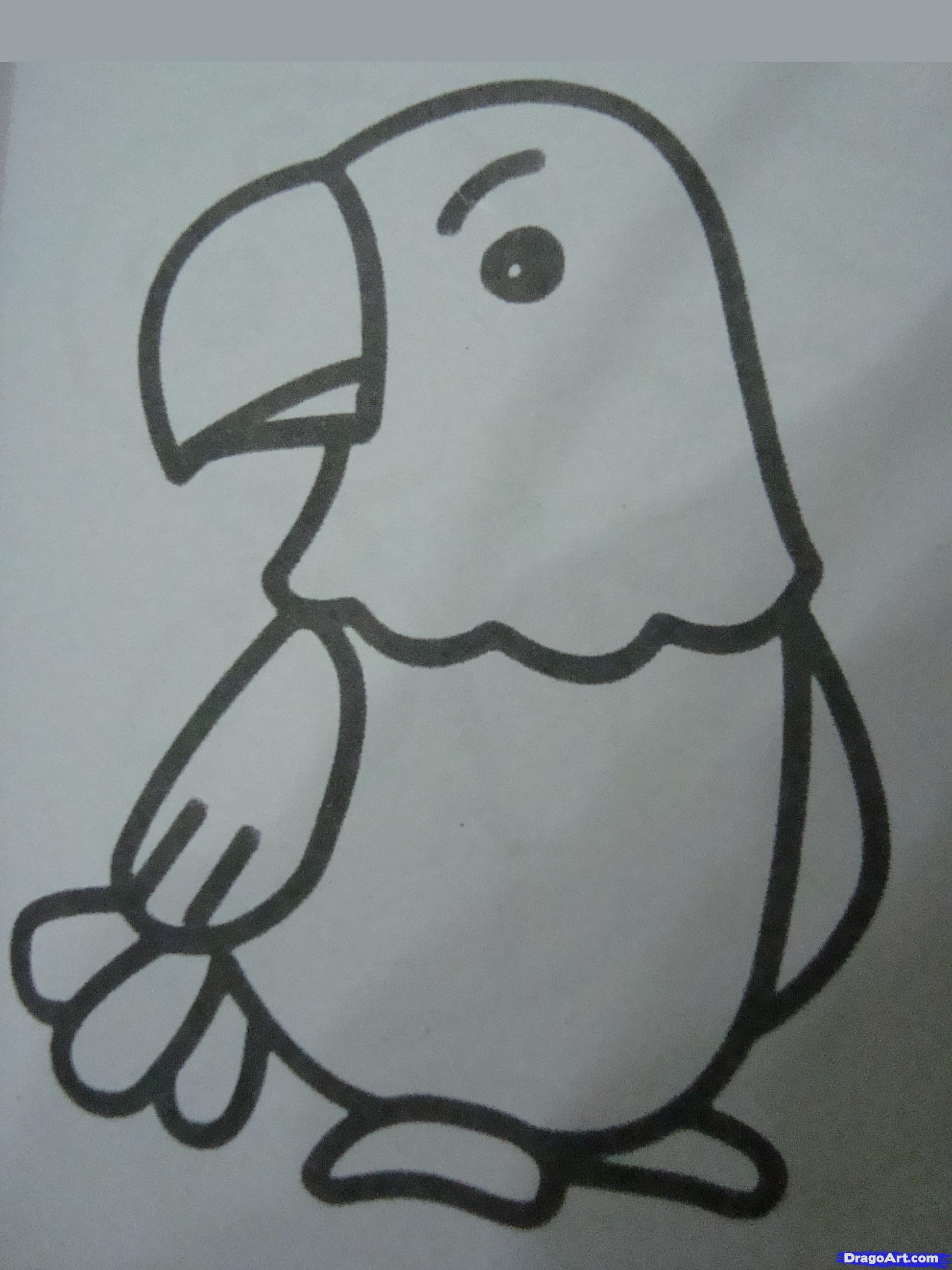 1944x2592 How To Draw A Cartoon Hawk, Step - Hawk Drawing Step By Step