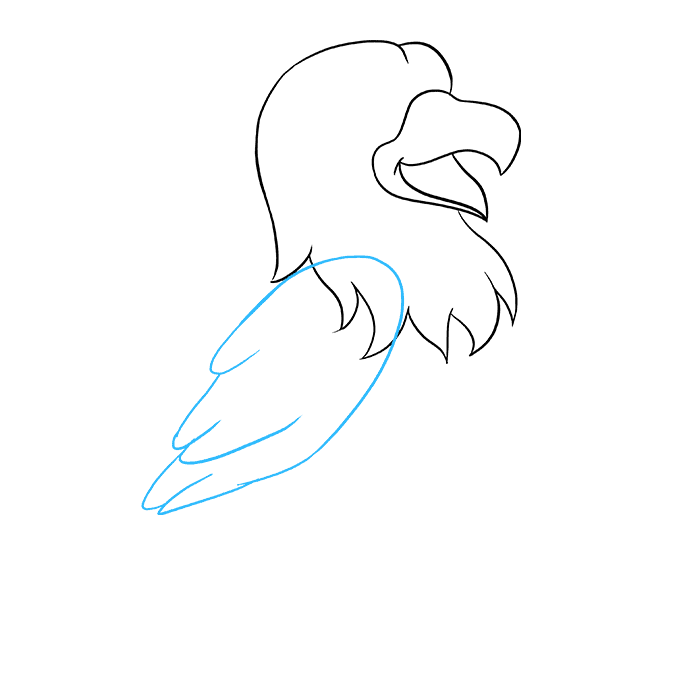 680x678 How To Draw A Cartoon Hawk Really Easy Drawing Tutorial - Hawk Drawing Step By Step