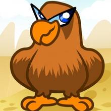 220x220 How To Draw How To Draw A Hawk For Kids - Hawk Drawing Step By Step