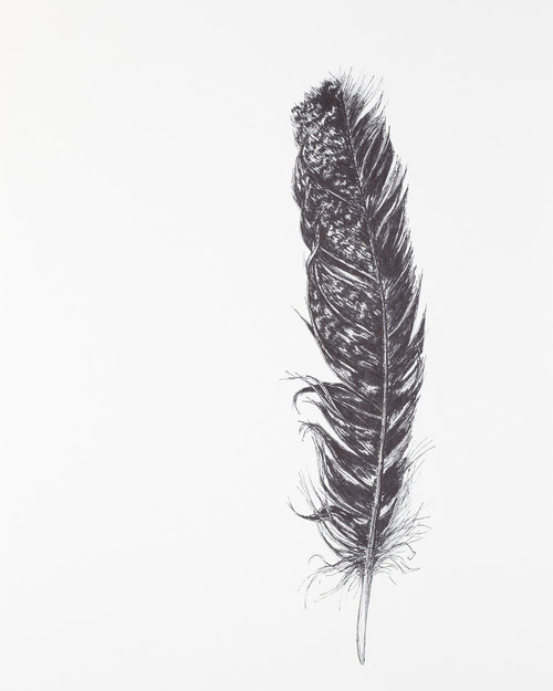 Feather Outline Drawing at PaintingValley.com | Explore collection of ...