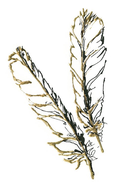 500x750 East Urban Home 'gilded Red Tailed Hawk Feather' Drawing Print - Hawk Feather Drawing