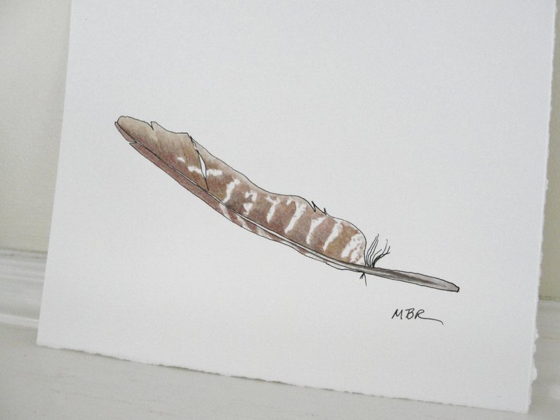 794x596 feather watercolor feather painting feather ink drawing etsy - Hawk Feather Drawing