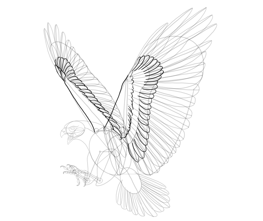 850x713 How To Draw A Hawk - Hawk Feather Drawing