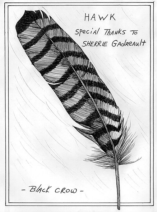 505x683 sherrie's feather birds feather drawing, crow feather, hawk - Hawk Feather Drawing