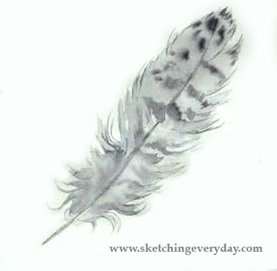 400x392 Drawing Everyday Hawk Feather - Hawk Feather Drawing
