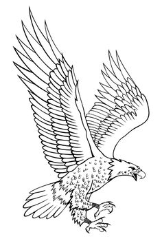 236x347 Falcon Bird Lafc Drawings, Bird Drawings, Illustration Art - Hawk Flying Drawing