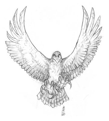 361x400 Tattoo Design Of Flying Hawk - Hawk Flying Drawing