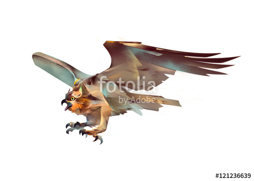 500x357 Drawing Flying Bird Hawk In Attack Stock Photo And Royalty Free - Hawk Flying Drawing