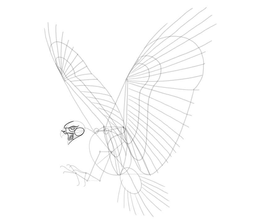 850x713 How To Draw A Hawk - Hawk Head Drawing