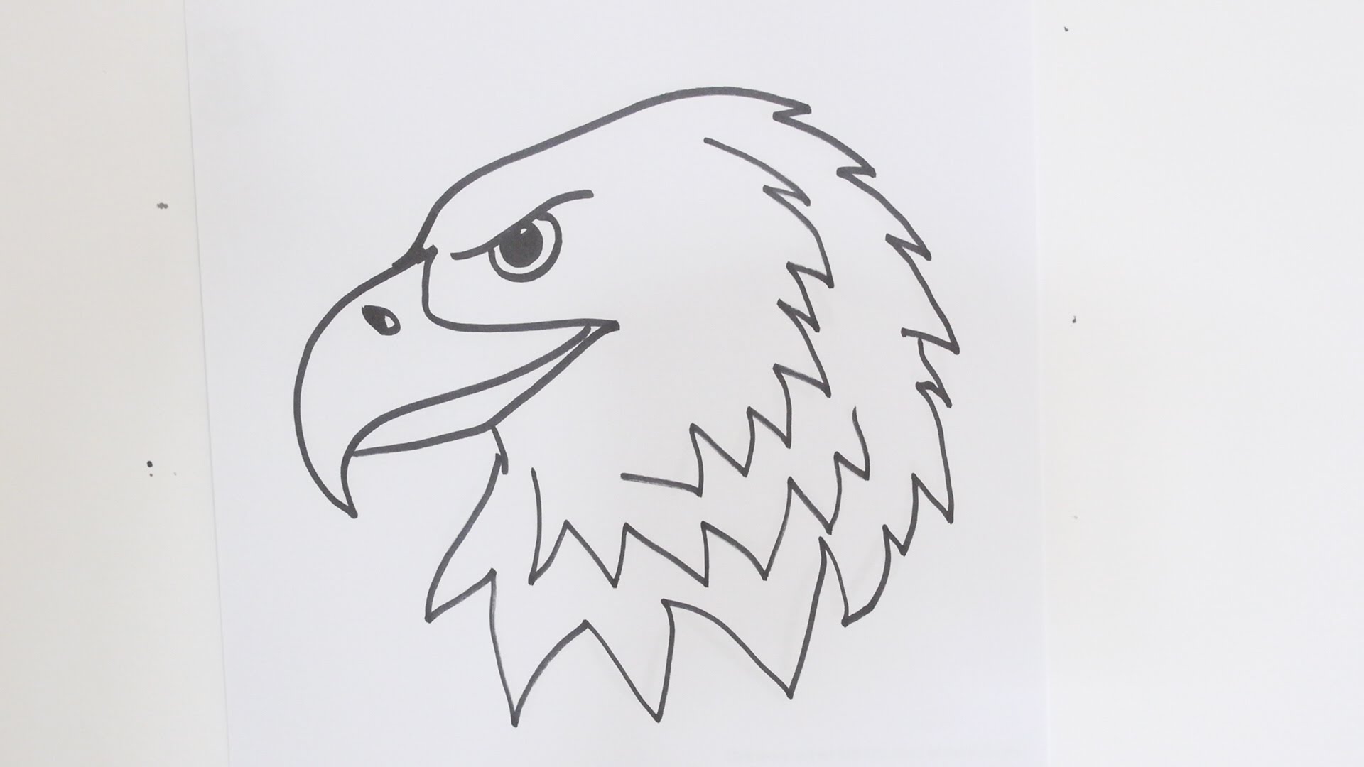 1920x1080 How To Draw An Eagle Head Step - Hawk Head Drawing