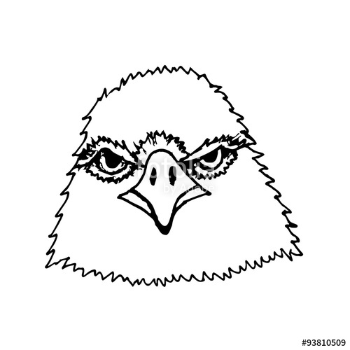 500x500 Hand Draw Head Screaming Hawk Can Be Used For Logos Icons - Hawk Head Drawing