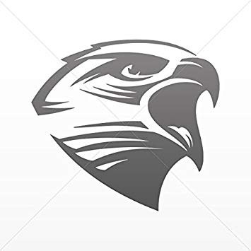 355x355 Eagles Hawks Various Sizes Decals Decal Hawk Head - Hawk Head Drawing