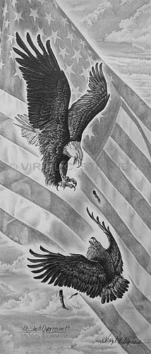 214x500 pencil drawing, western art, fine art, modern art, patriotic - Hawk Pencil Drawing