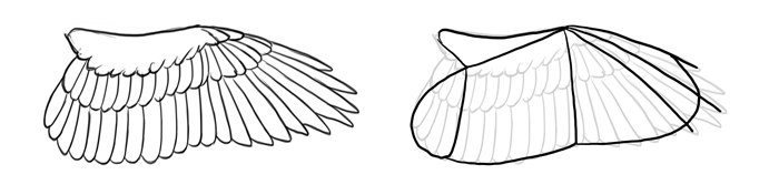 700x167 How To Draw Birds Step - Hawk Wings Drawing
