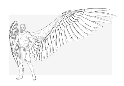 400x277 How To Draw A Hawk - Hawk Wings Drawing