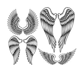 275x240 Search Photos Hawk Wings - Hawk Wings Drawing