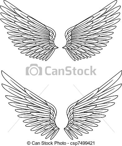 393x470 wings vector illustration of wings - Hawk Wings Drawing