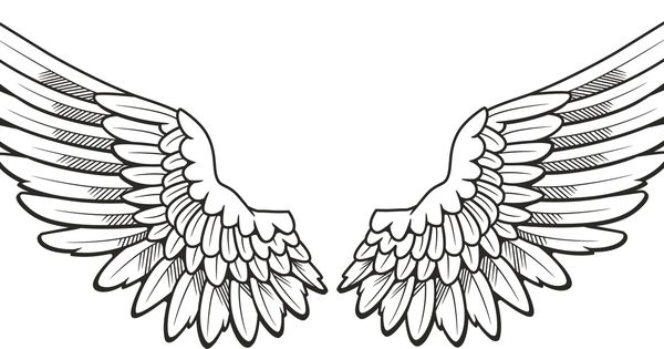 600x315 Free Angel Wing Clip Art - Hawk Wings Drawing