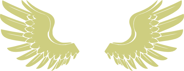 600x234 Gold Hawk Wings Clip Art - Hawk Wings Drawing