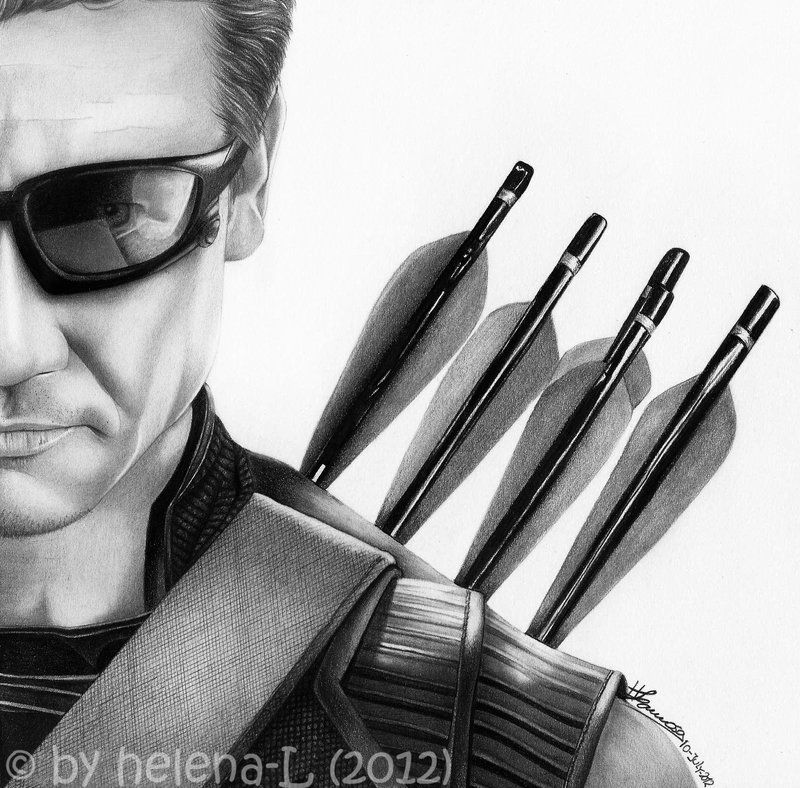 800x788 The Avengers Half Series - Hawkeye Drawing
