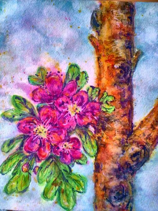 510x680 Hawthorn Flowers Drawings Pictures Drawings Ideas For Kids - Hawthorn Flower Drawing