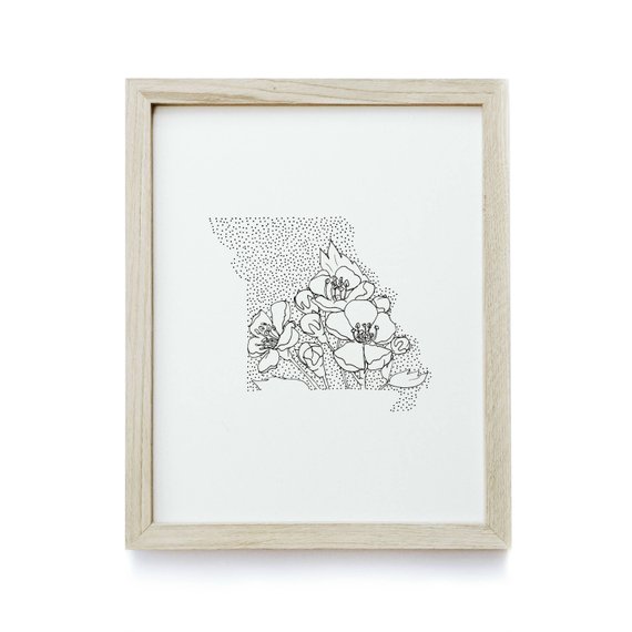 570x570 Missouri White Hawthorn Blossom State Flower Etsy - Hawthorn Flower Drawing