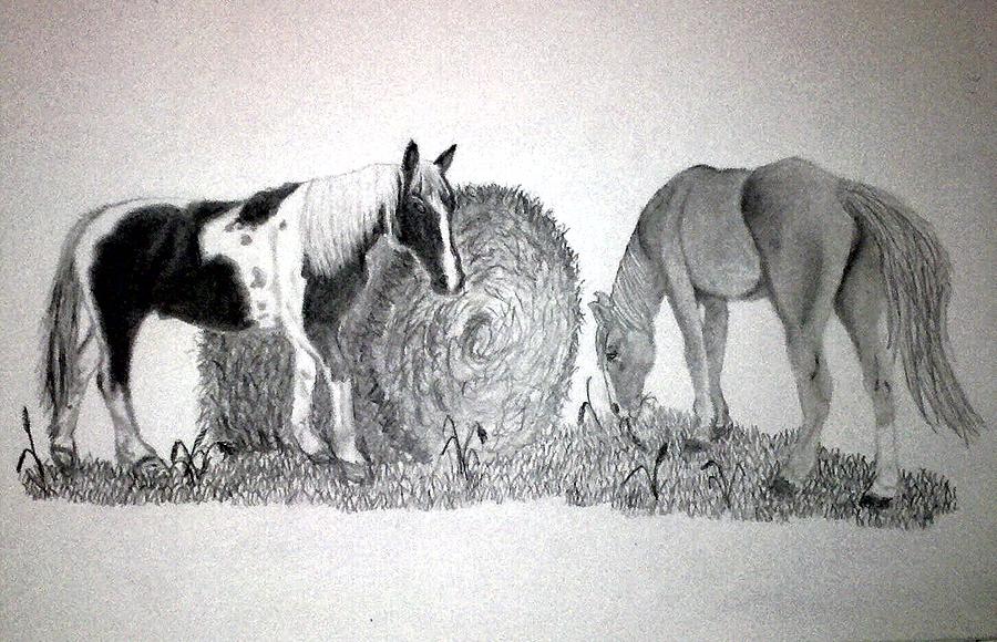 900x580 Horses Eating Hay Bale Drawing - Hay Bale Drawing
