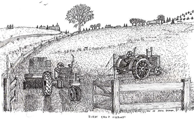 800x491 first hay crop drawing - Hay Drawing