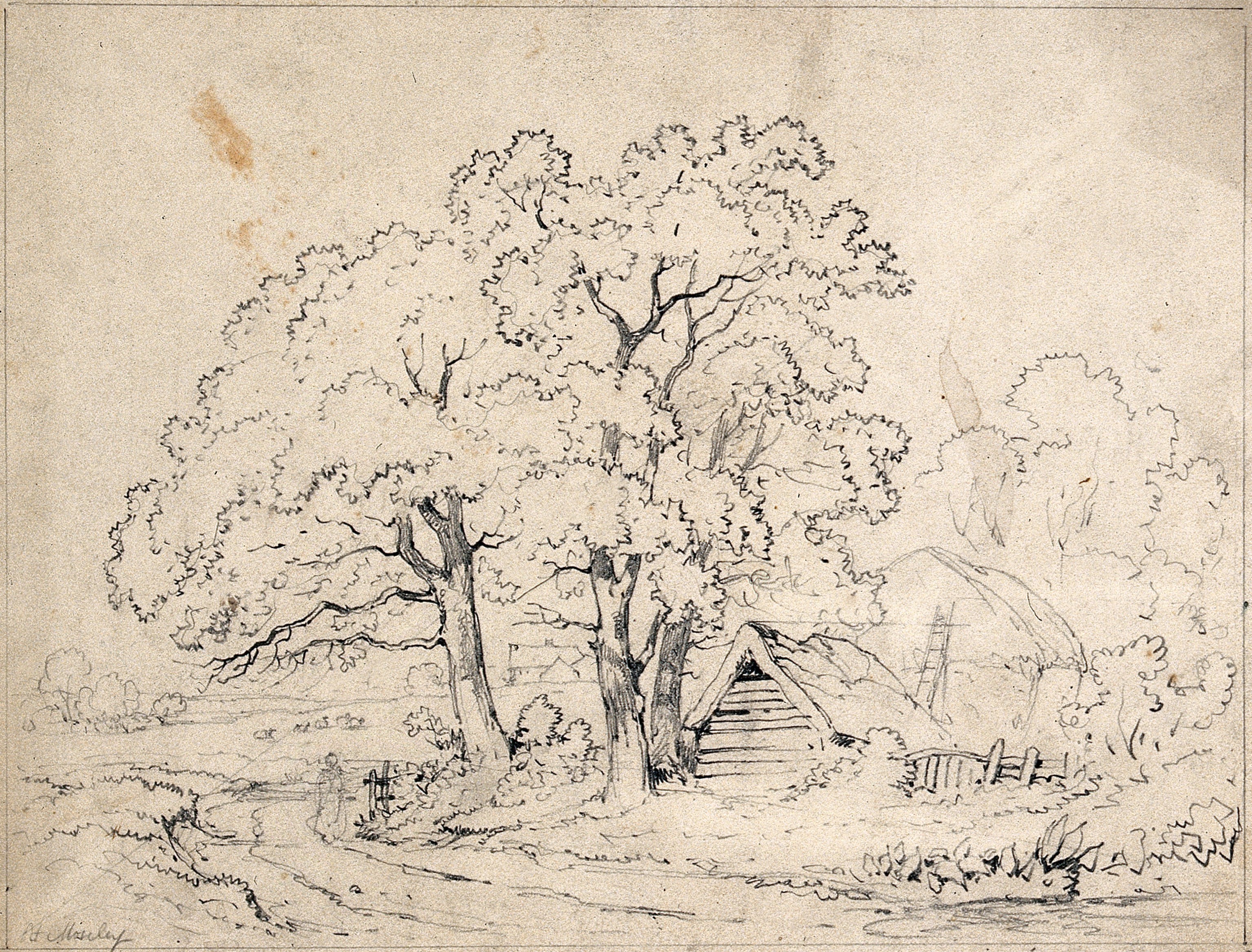 Графика. Рембрандт. «Три дерева»
