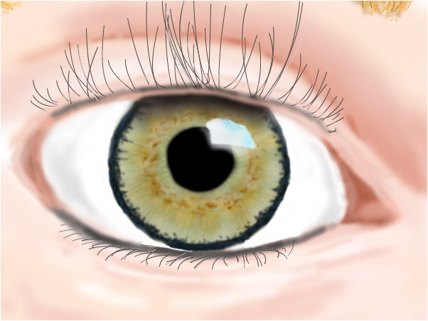 602x452 Hazel Eye - Hazel Eye Drawing