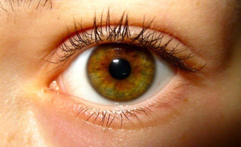 800x491 Painting Hazel Eyes Painting For Home - Hazel Eye Drawing