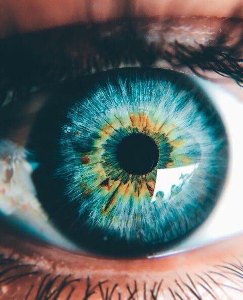 480x592 turquoise eyes with a core of gold eyes eyes, aesthetic eyes - Hazel Eye Drawing