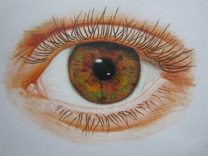 700x525 Eye Drawing - Hazel Eye Drawing