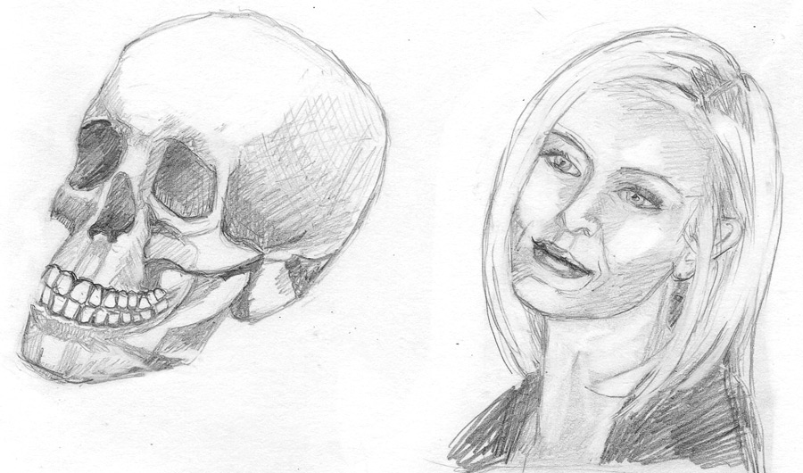 900x530 learning to draw heads practice and study with skulls and loomis - Hb Drawing