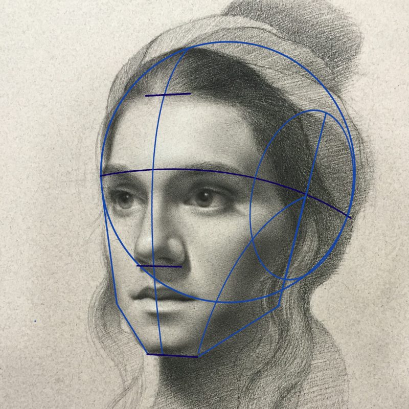 800x800 Drawing The Structure And Anatomy Of The Head - Head Anatomy Drawing