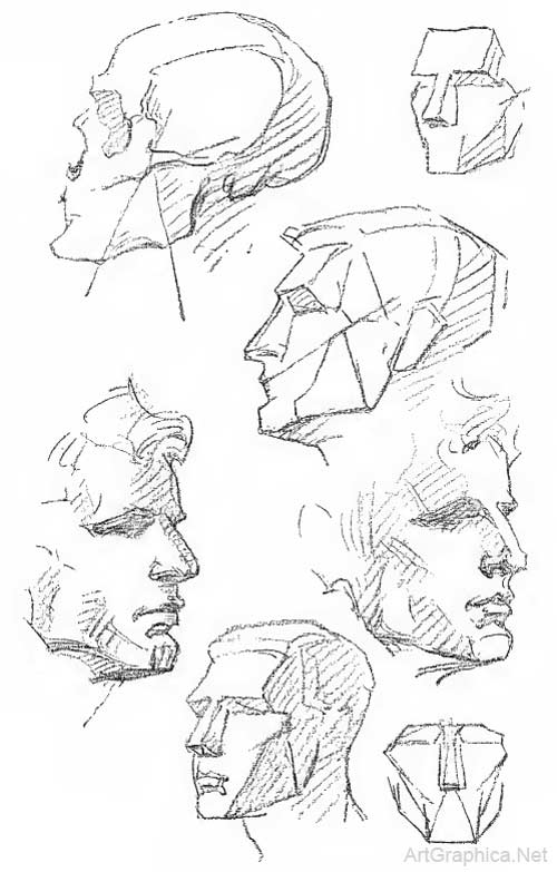 500x783 Drawing The Human Head, Anatomy Art Tutorial - Head Anatomy Drawing
