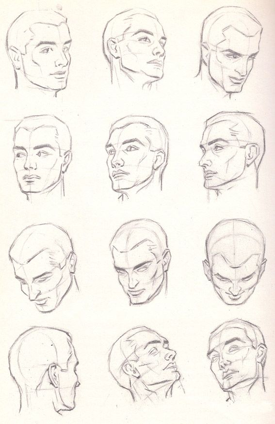 Head Anatomy Drawing At PaintingValley.com | Explore Collection Of Head ...