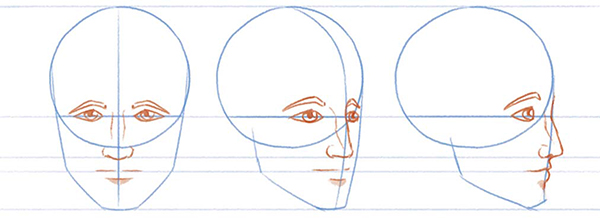 600x218 Drawing The Stereotypical Male Face - Head Construction Drawing