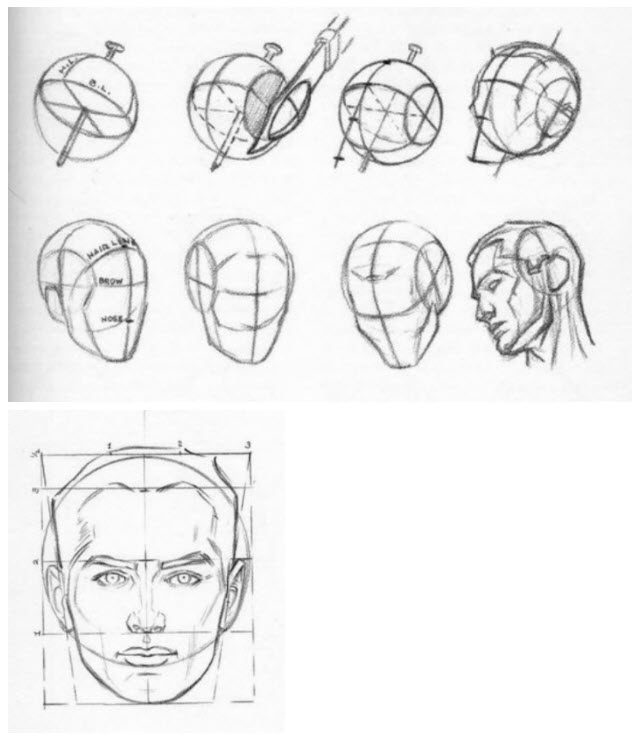 643x741 Blog Sharpened Artist - Head Construction Drawing