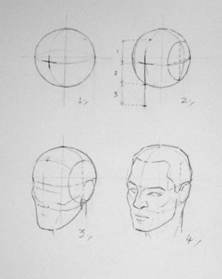 319x400 constructing the head andrew loomis - Head Construction Drawing