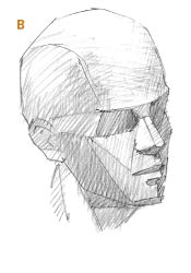 175x250 Here Is An Artist's Guide To Drawing The Human Head - Head Drawing
