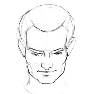 300x300 How To Draw The Head Front View Proko - Head Drawing