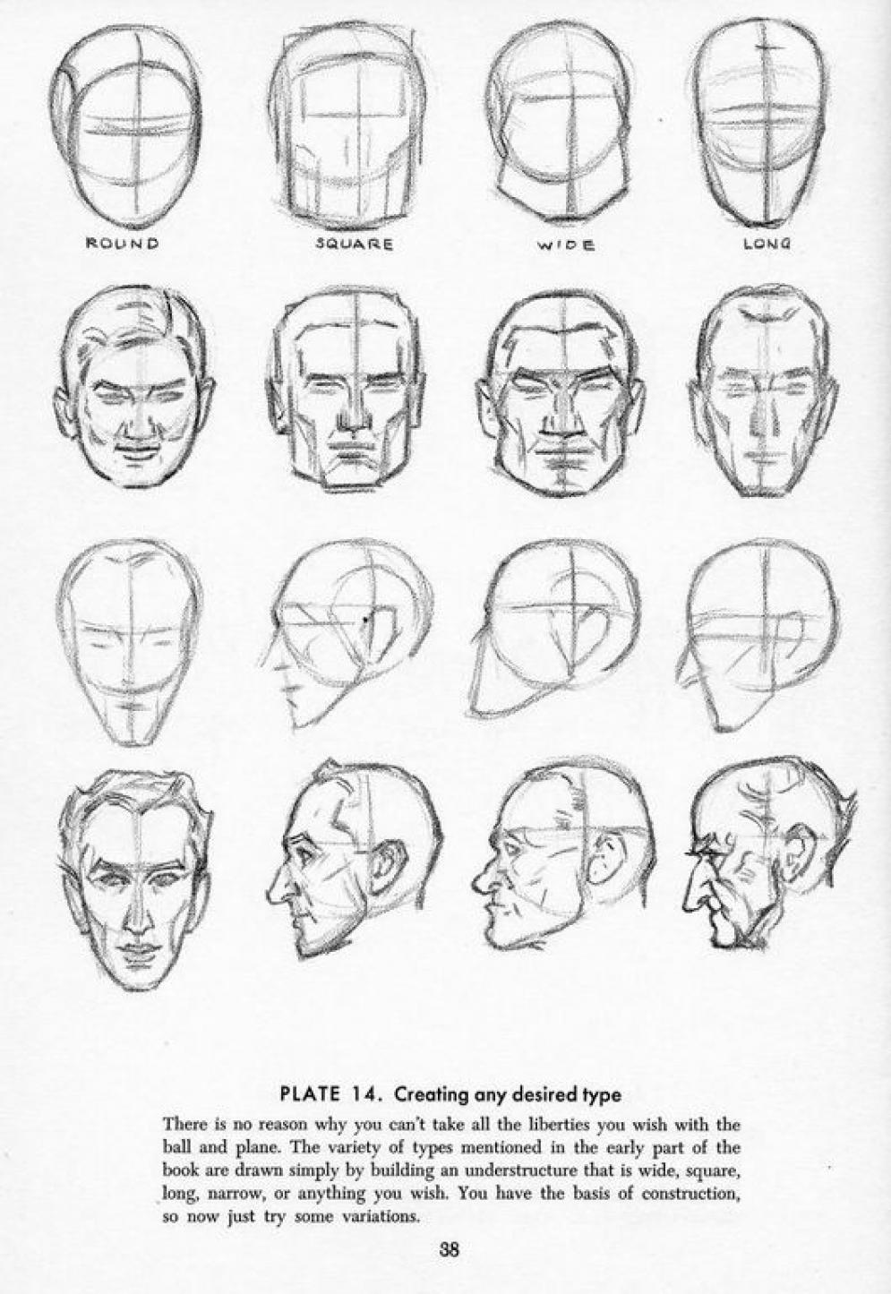 Head Drawing Reference at PaintingValley.com | Explore collection of