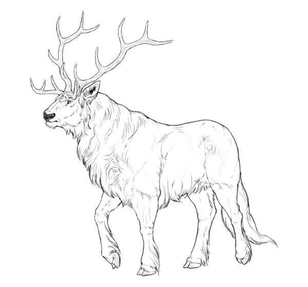 600x559 How To Draw Creatively Using Photo References - Head Drawing Reference