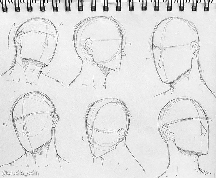 Head Drawing Reference at Explore collection of